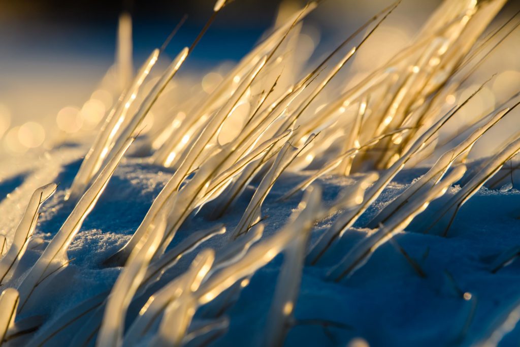 A scene from Gooseberry Falls State Park along Lake Superior by sunrise.  Frozen grass.